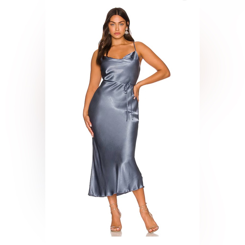 Shona Joy dress